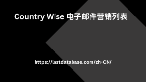 Country Wise 电子邮件营销列表