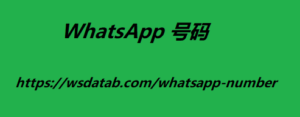 WhatsApp 号码